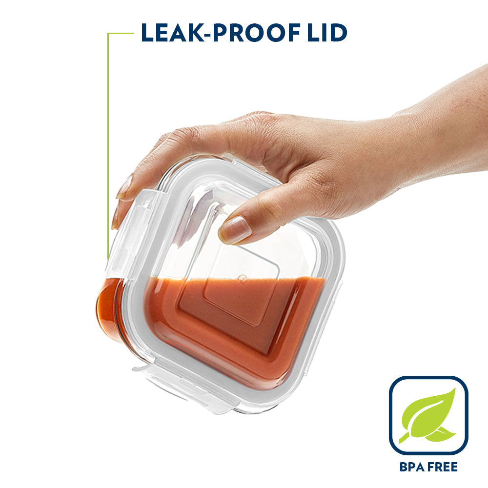 Borosil Gourmet Lunch Box Set